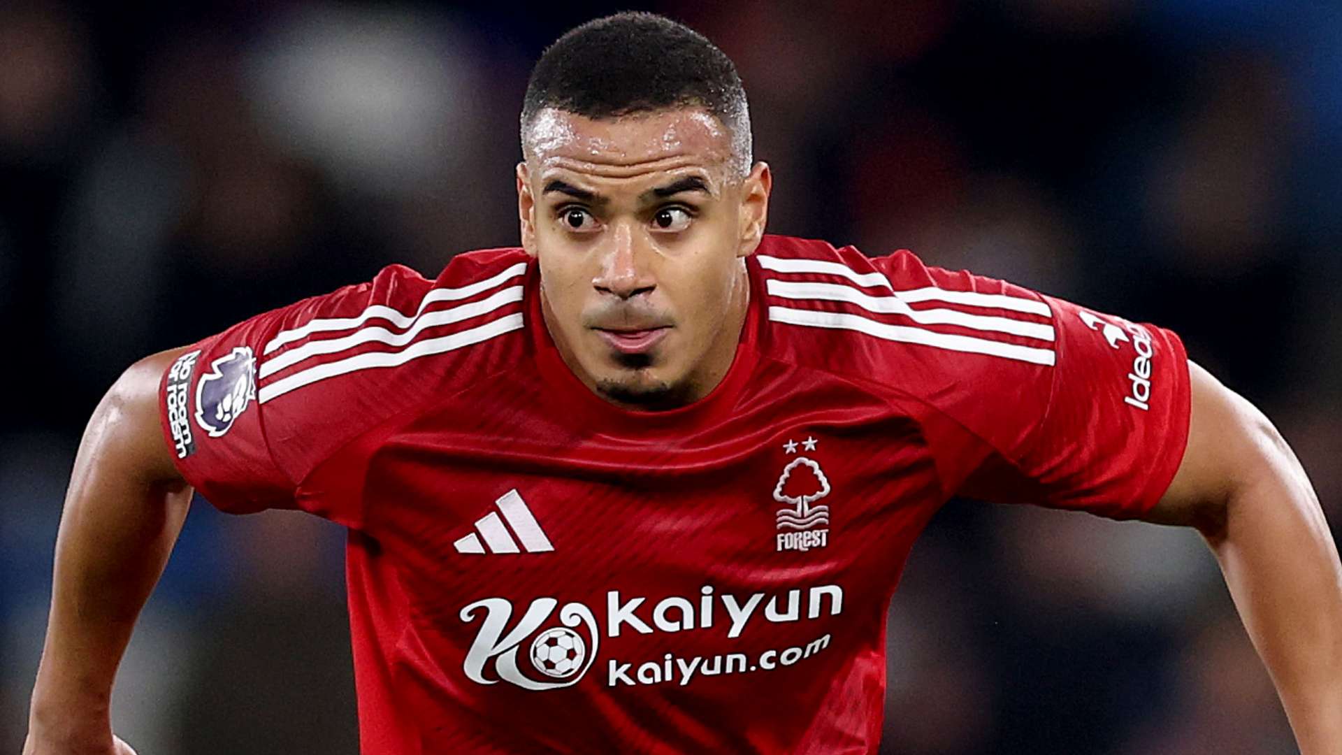 強團隊建設 強團隊建設