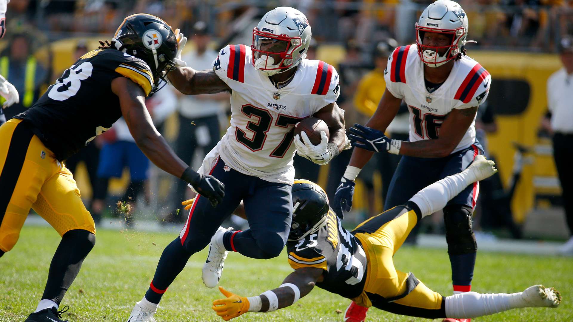 了比賽的主 了比賽的主